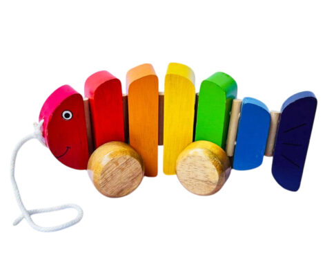 Adorable Wooden Rainbow Fish Pull Along – Fun & Educational Toy for Kids